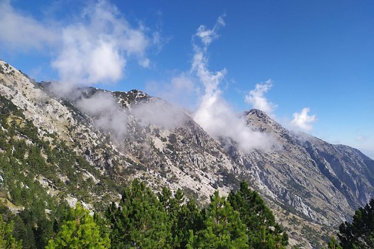 Tour image 2