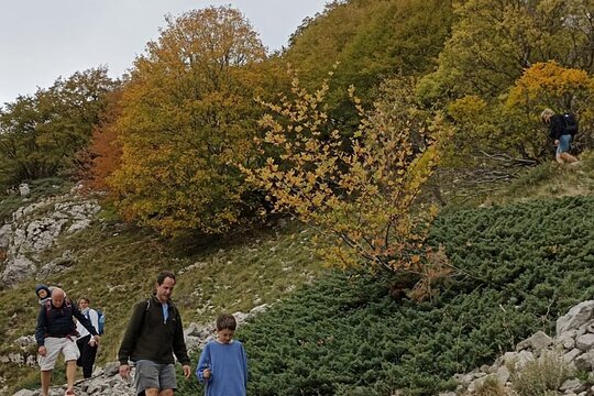 Tour image 7