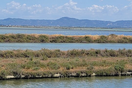 Tour image 6